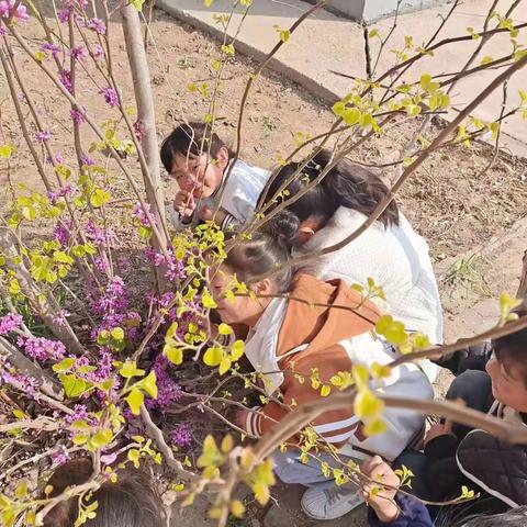 车站镇魏楼小学“爱心传递，情满校园”教育活动总结