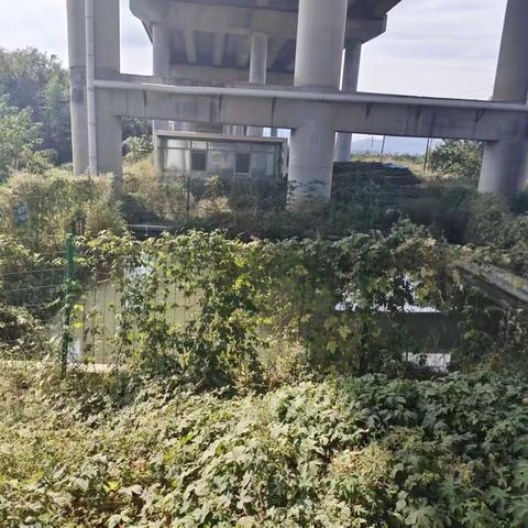 市生态环境保护综合执法支队开展饮用水水源地专项执法检查