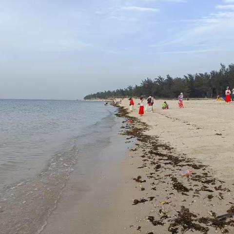 涠洲岛贝壳沙滩：海天之间的自然画卷