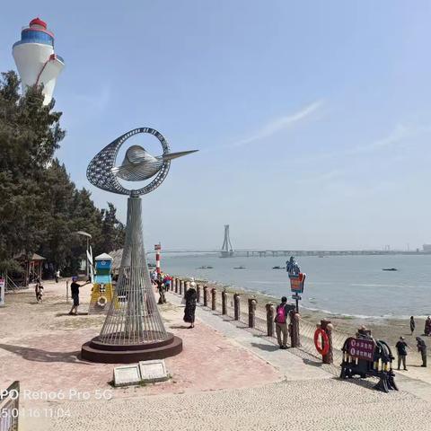北海金海湾红树林生态探秘之旅