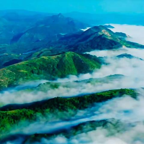 区秦岭保护局南五台管理办公室2024年3月第3周工作纪实