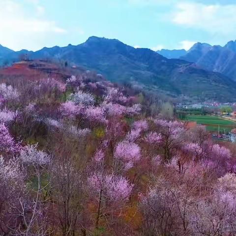 用户4656767的简篇