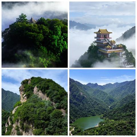 区秦保局南五台片区2024年7月第1周工作纪实