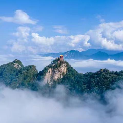 区秦保局南五台片区2024年7月第5周工作纪实