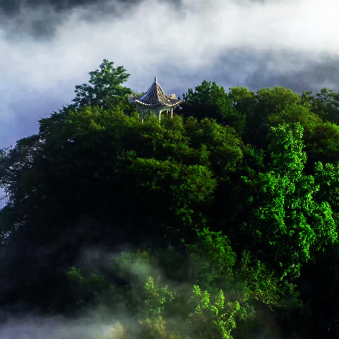 区秦保局南五台片区2024年8月第3周工作纪实