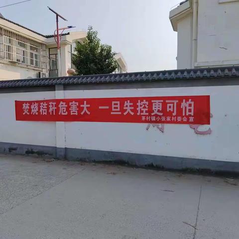 加强秸秆禁烧,迎接绿色未来。