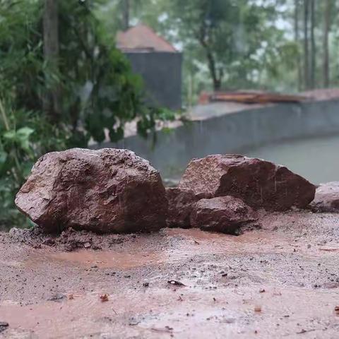 【官幼·安全】官道镇中心幼儿园暑假防溺水安全教育——遇到暴雨洪水怎么办？