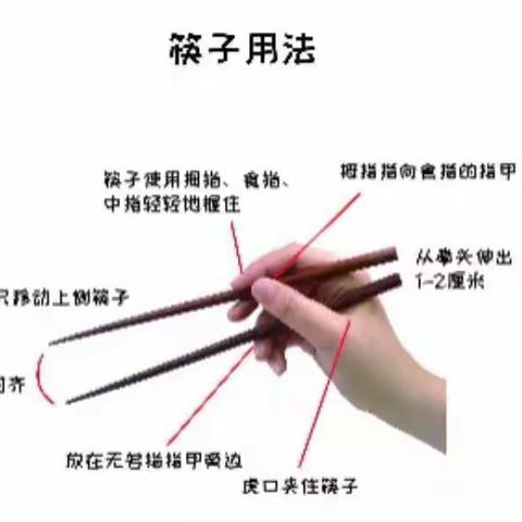 中三班社会——筷子夹夹夹