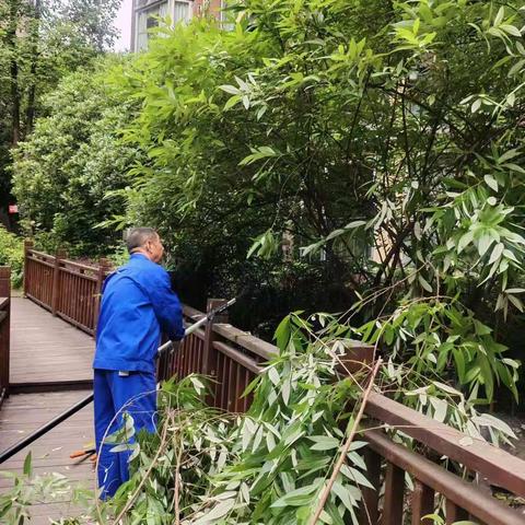 龙发物业香草山项目5月13日至5月19日工作周报