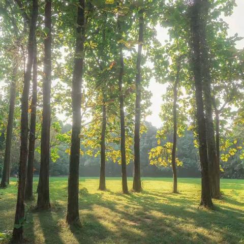 让教育自然发生——樱桃树下农场一日研学活动