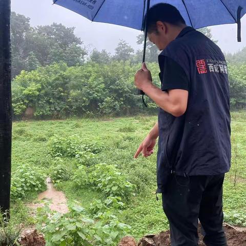 |   太平镇   | 雨天排查除隐患