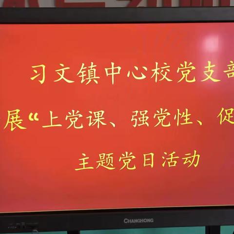 习文镇中心校开展“上党课、强党性、促发展”主题党日活动