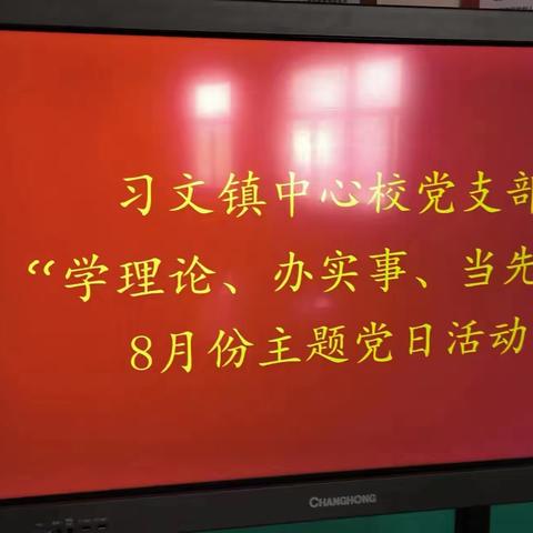 习文镇中心校党支部开展“学理论、办实事、当先锋”8月主题党日活动