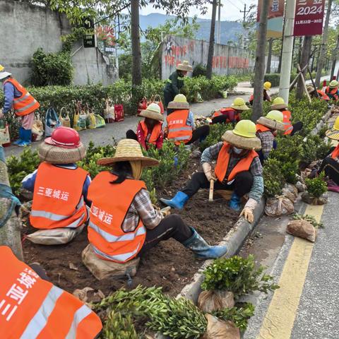 喜迎民族运动会 绿化保障进行时｜亚龙湾路口至竹落岭隧道段环境绿化美化提升加速施工！