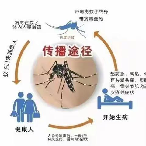 守护健康 预防先行——临高县金牌开发区大雅幼儿园预防登革热、急性结膜炎知识宣传