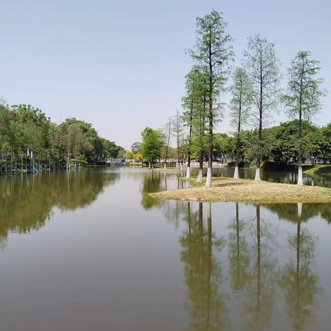 我们的生活充满阳光——生物岛之行