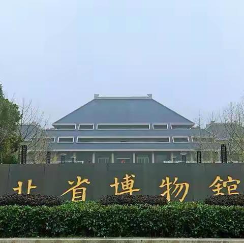 我是池阳小学四年级3班的秦婧涵，我正在参加池阳小学“微实践  微旅行”活动