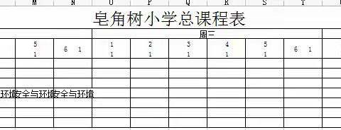 皂角树小学安全课程表