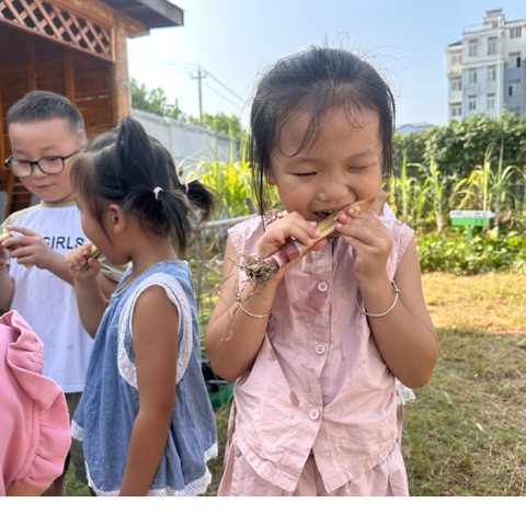 爱与美好，精彩绽放---幸福苑幼儿园一周精彩回顾