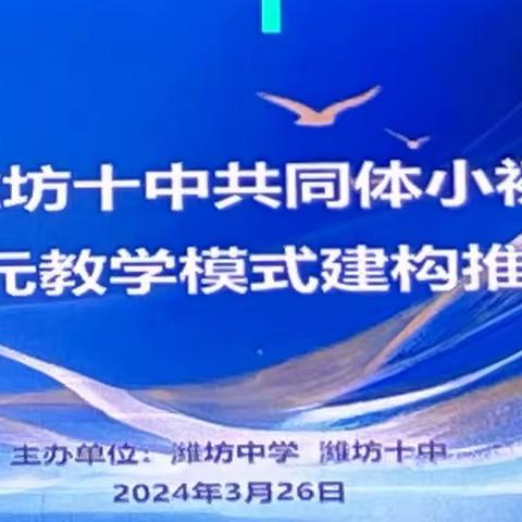 学段衔接提质量，贯通培养共成长