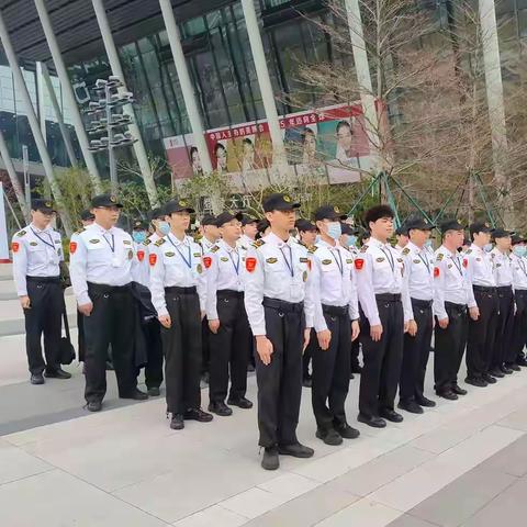 三月春光美，“锋”暖润心扉 | 海保集团地铁项目部优质服务与善举获赞誉！