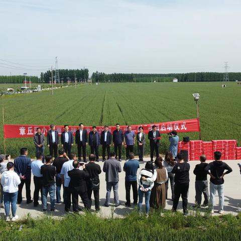 宁家埠乡村振兴“党建工作区”一周工作梳理（2023.5.15-2023.5.21）