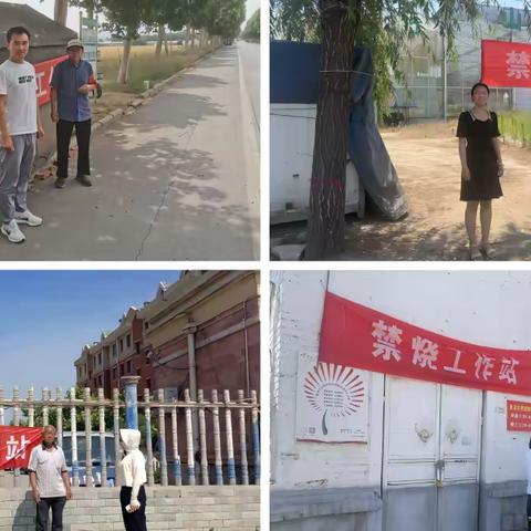 宁家埠乡村振兴“党建工作区”一周工作梳理（2023.6.12-2023.6.18）