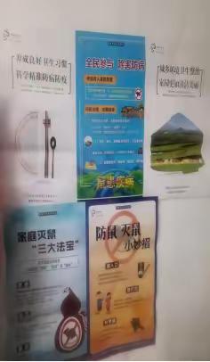 扎兰屯市兴华街道绿林社区开展“爱国卫生宣传 共促卫生健康”系列宣传活动