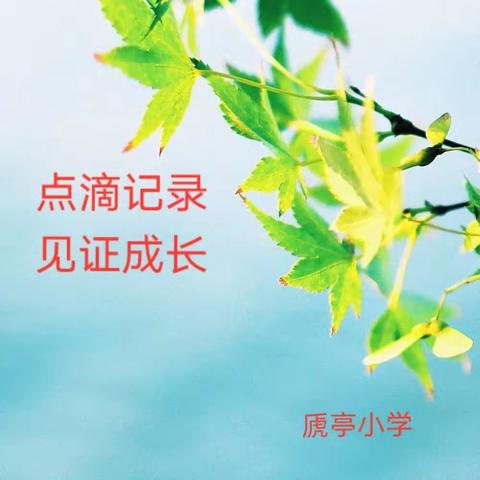 点滴记录，见证成长！～虒亭小学本周工作回顾