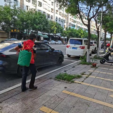 口美社区开展秋季病媒生物防治“防蚊灭蚊”专项行动。