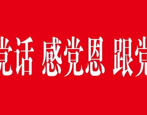 党建领航——“感党恩、听党话、跟党走”4月主题党日活动