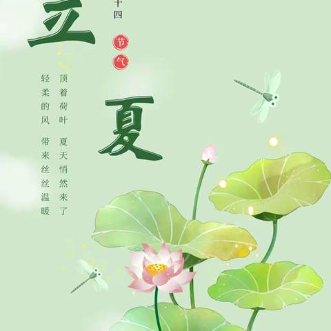 春光散，立夏至——伊旗第九幼儿园大二班立夏节气主题活动——柠檬薄荷茶