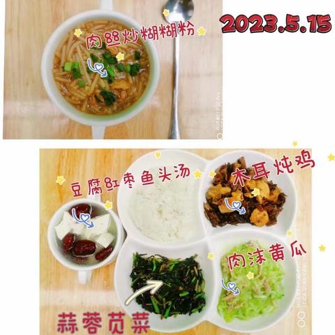 智慧树第十五周精彩内容