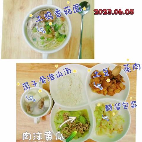 智慧树大二班第十八周精彩瞬间