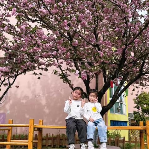 【我与樱花🌸有个约会】