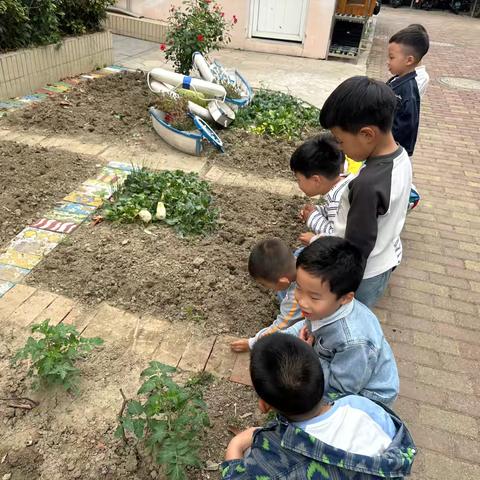 【中二班的小时光】