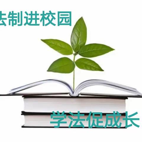 普法进校园          法治护成长       ——习文镇中心校西太平小学法制安全教育专题活动