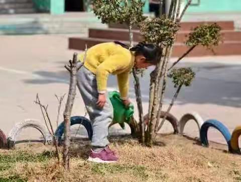 🌿“添一抹绿色，💕多一份美好”董村镇黑龙潭小学“3.12”植树节主题活动