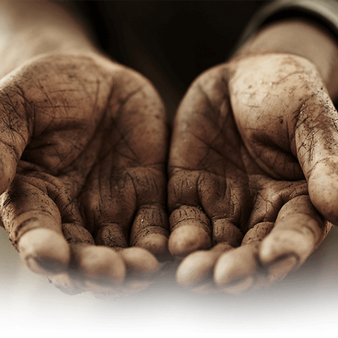 韦村幼儿园五一劳动节主题活动简记