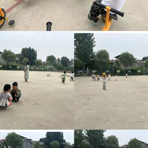 缤纷🍧夏日  限定成长🌱                                               ——苗店中心幼儿园