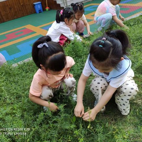 💥小博士幼儿园🌾大大班第十一周精彩回顾