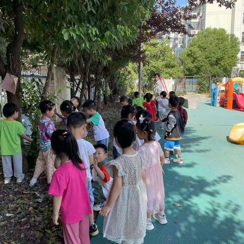 林旭幼育小金豆幼儿园小二班周末大放送——《“敲”染而至》