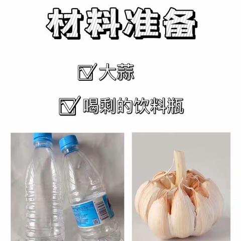 林旭幼育小金豆幼儿园中二班周末大放送——《“蒜”你可爱》