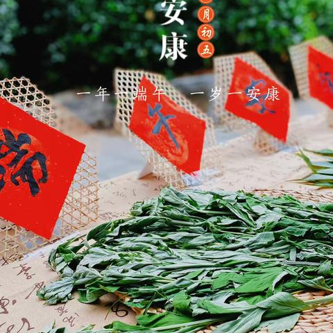 一年一端午•一岁一安康