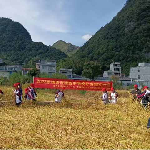 “亲历劳动过程，感悟劳动价值”——靖西中学开展校外劳动实践活动纪实