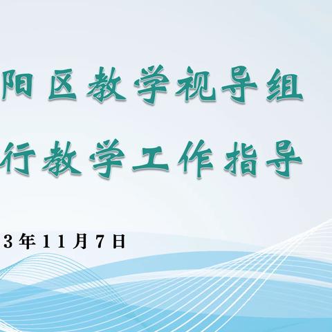 视导赋能助提升 把脉教学促成长—三亚市吉阳区南新小学迎接“四个常规”教学视导课堂教学工作纪实