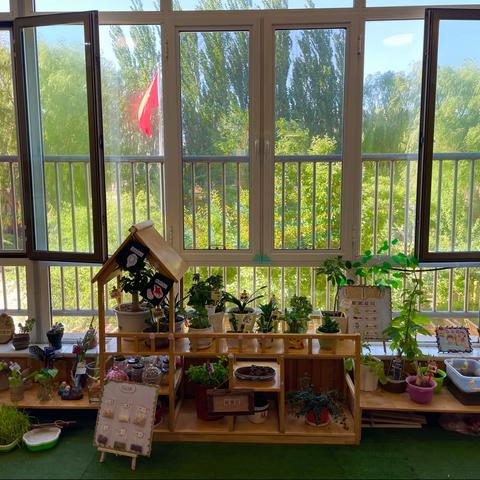 🍀——小一班植物角💞💞💞