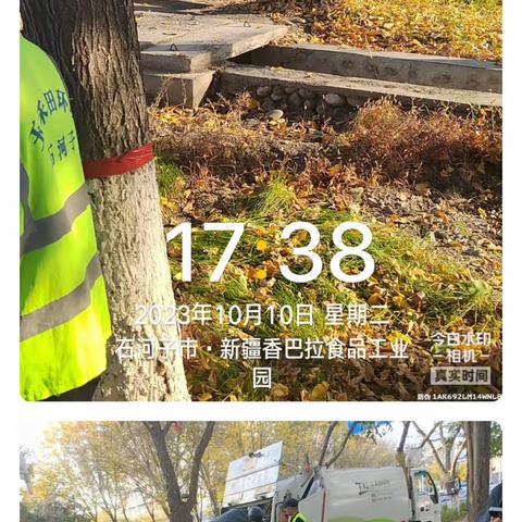 落叶季 清扫落叶不停歇