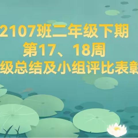 2107班二下第18周班级总结及表彰