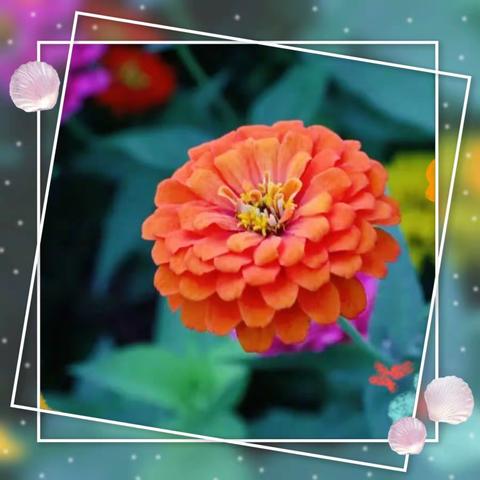 舞动童心  绽放精彩 ——孝昌县农庄小学教联体特色社团掠影